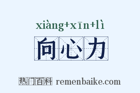 向心力是什么意思的图片